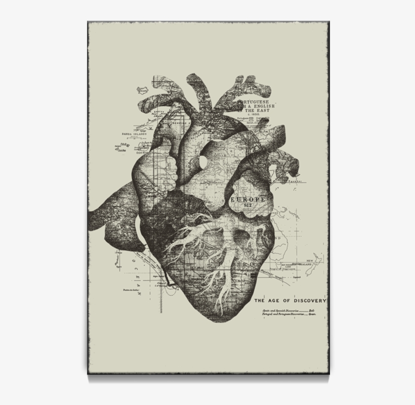 1 - Restless Heart Tobe Fonseca, transparent png download