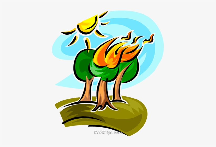 Forest Fire - Forest Fire Clip Art, transparent png download