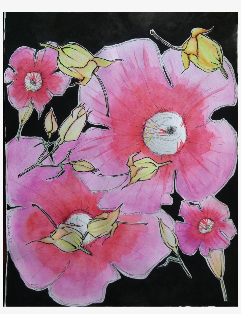 Watercolour For A Pattern By Maria Caroço - Petunia, transparent png download