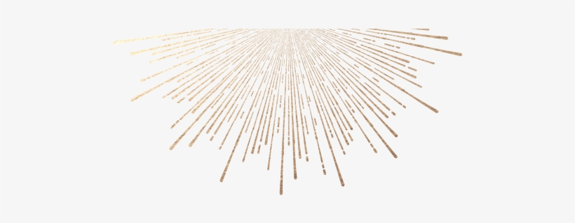 Tree, transparent png download