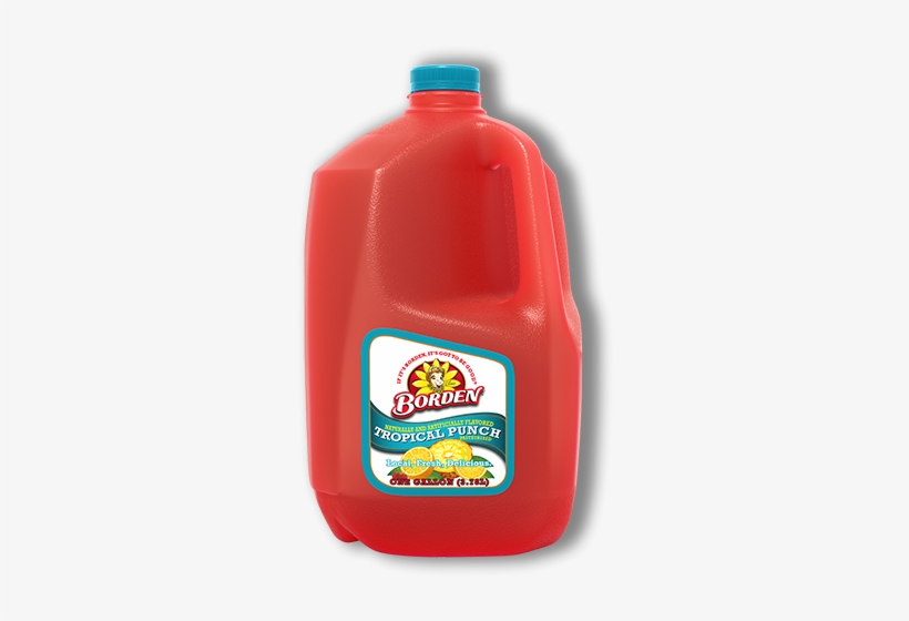 Borden Punch, Citrus - 1 Gl (3.78 Lt), transparent png download