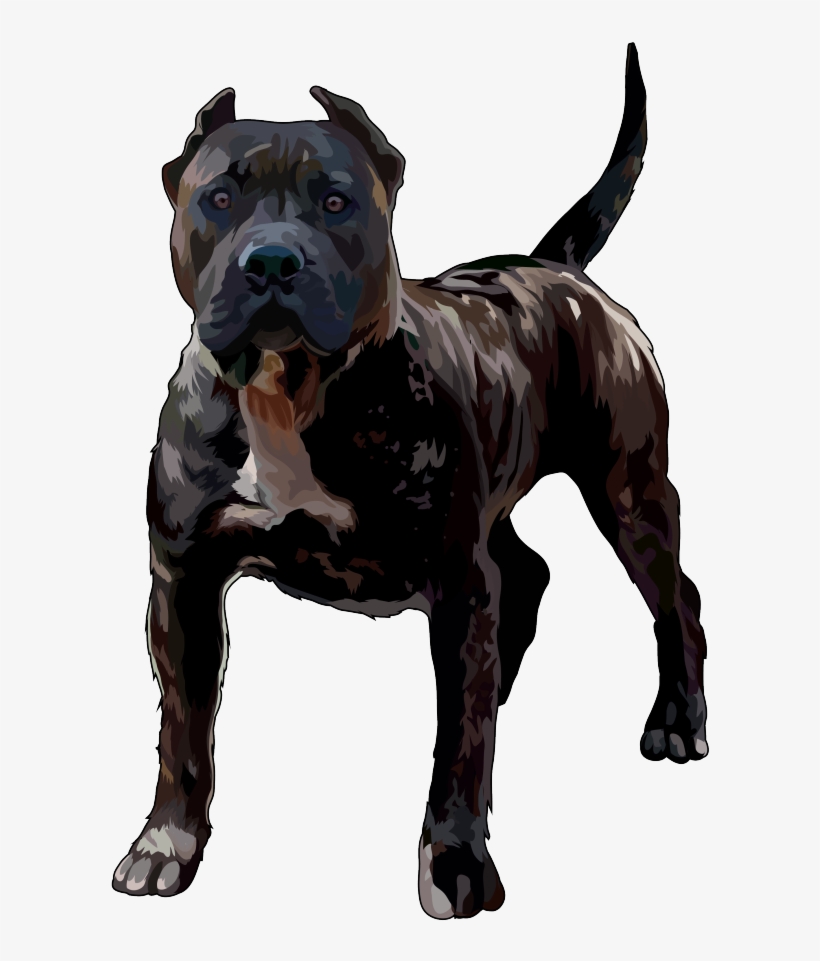 Pitbull Png - Perro De Presa Canario, transparent png download