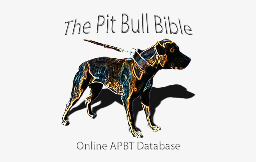 California Jack Pitbull Book, transparent png download