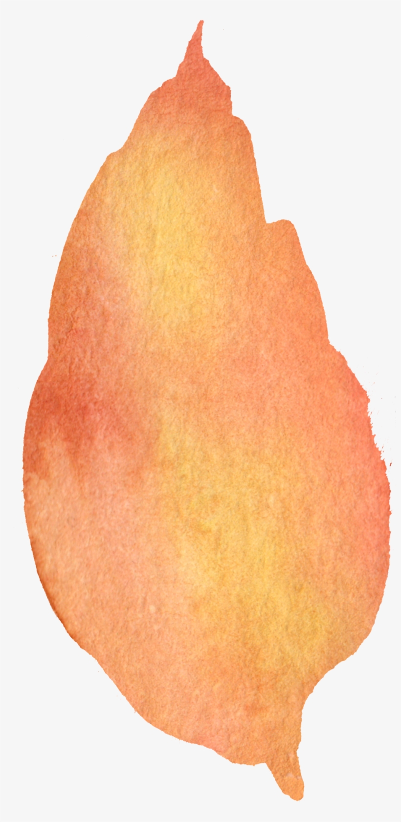 Free Fall Watercolor Floral Clip Art- So Pretty - Maple Leaf, transparent png download