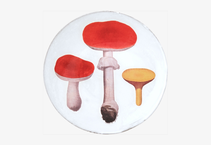 Red Mushrooms Dinner Plate - John Derian, transparent png download