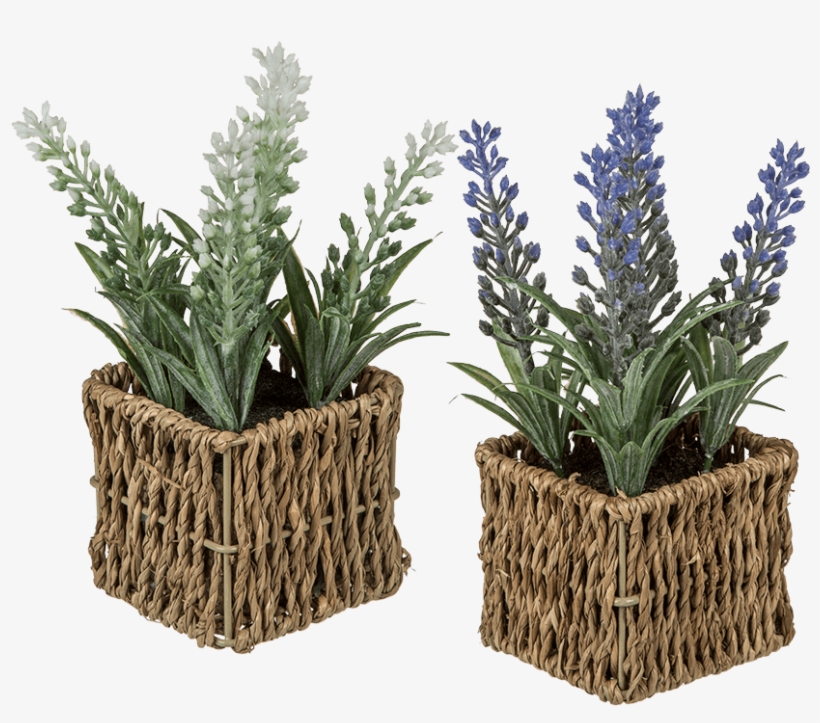 Basket, transparent png download