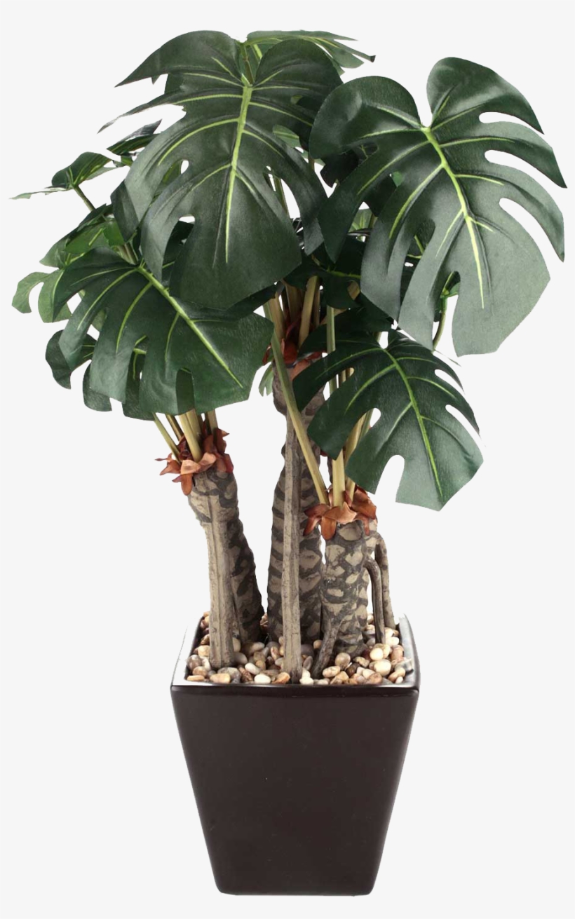 Planta - Plantas No Vaso Png PNG Image | Transparent PNG ...