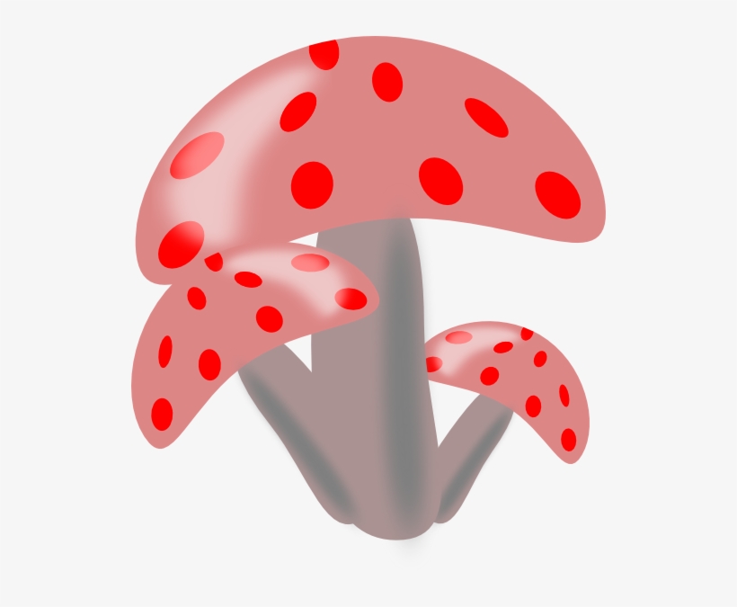 How To Set Use Ciuperci Mushrooms Icon Png - Mushroom Clipart Png Drawing, transparent png download