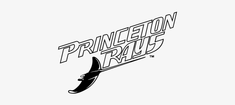 Premium Vectors - Princeton Rays, transparent png download