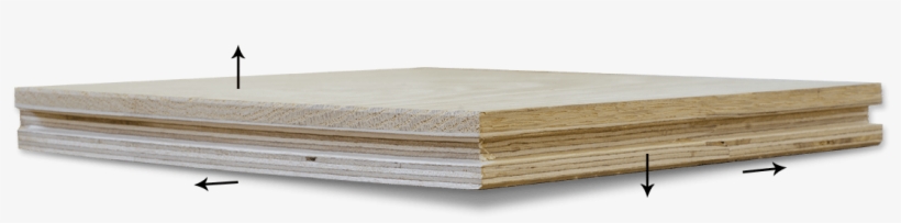 9 Layers Of Plywood Crisscrossing - Plywood, transparent png download