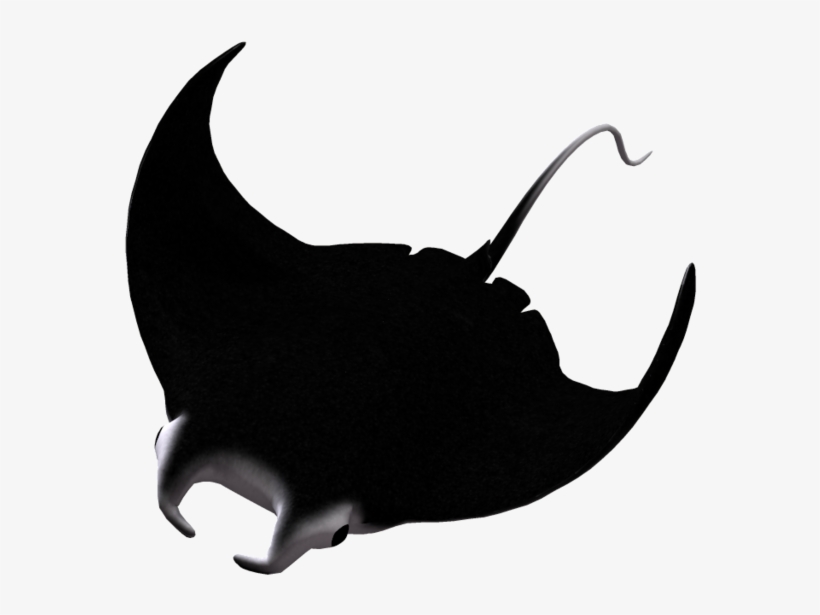 Manta Ray 04 By Wolverine041269 - Manta Ray Without Background, transparent png download