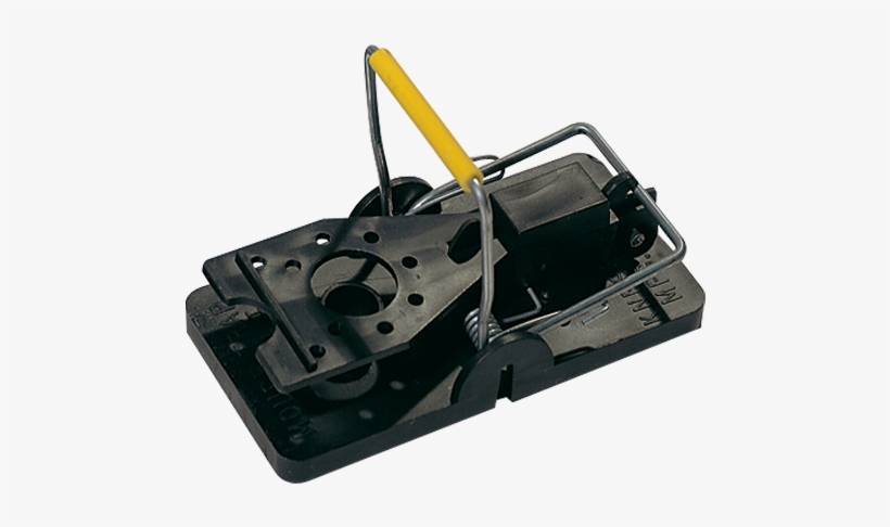 Privacy Policy - Mouse Trap, transparent png download