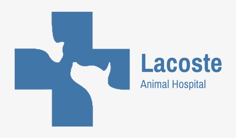 Lacoste Animal Hospital, transparent png download