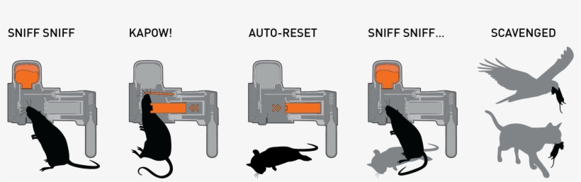A24 Rat & Mouse Trap - A24 Automatic Rat Trap, transparent png download
