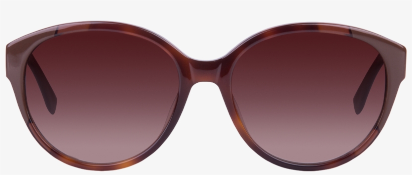Lacoste L774s 214 Havana Round Sunglasses - Lentes Sol Carolina Herrera Rojos, transparent png download