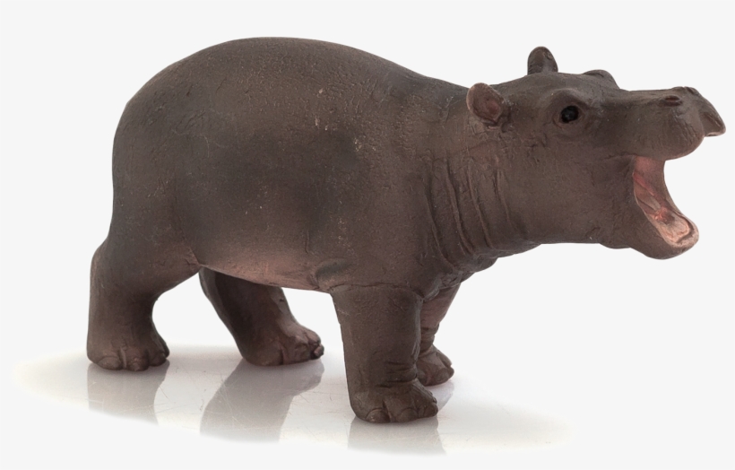 Animal Planet Baby Hippopotamus - Mojo Hippo Baby, transparent png download