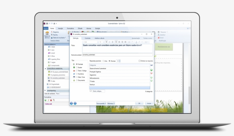 Tela Carrossel Iq 2 - Bc Student Loan Application, transparent png download