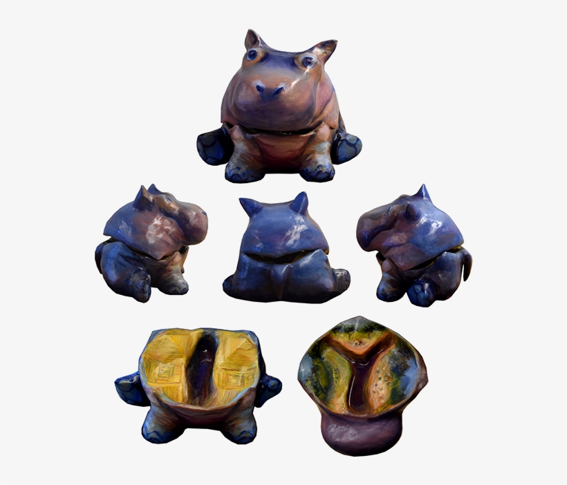 A Baby Hippo Split In Half Showing The Separate Causes - Domestic Pig, transparent png download