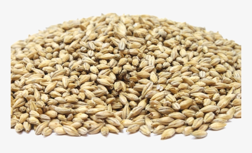 Perfect For Decoction And Only Decoction - Perle Orge, transparent png download