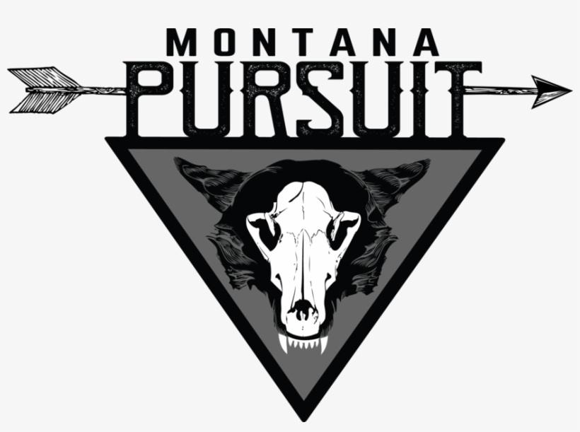 Our New Predator Design - News, transparent png download