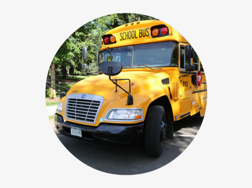 The Front Of A School Bus - School, transparent png download