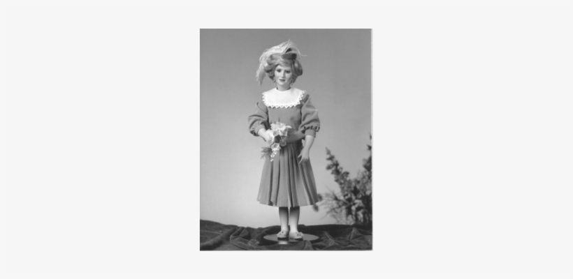 Photograph, transparent png download