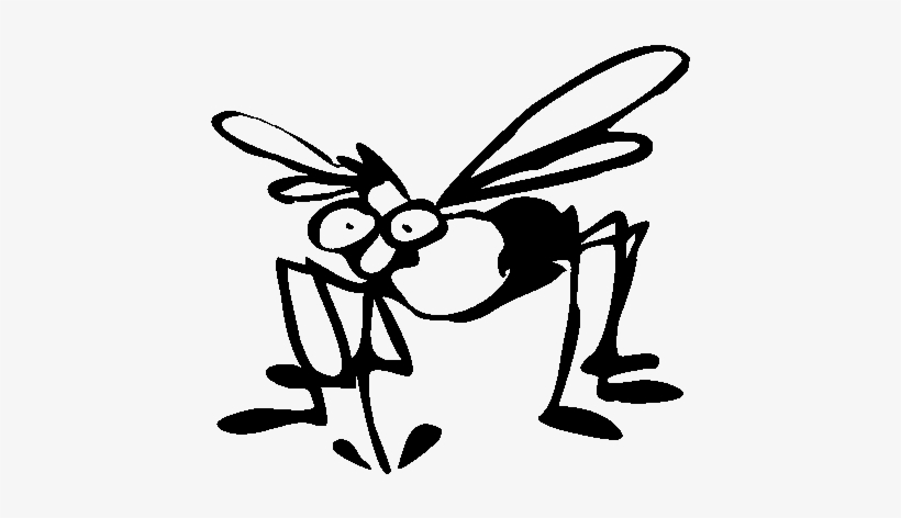Can T Mosquitoes Suck Fat, transparent png download
