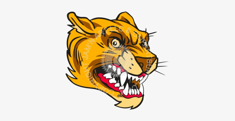Cougar Clipart, transparent png download