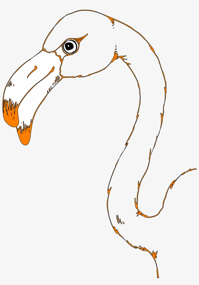 Vector Graphics,free Pictures, Free - Drawing, transparent png download