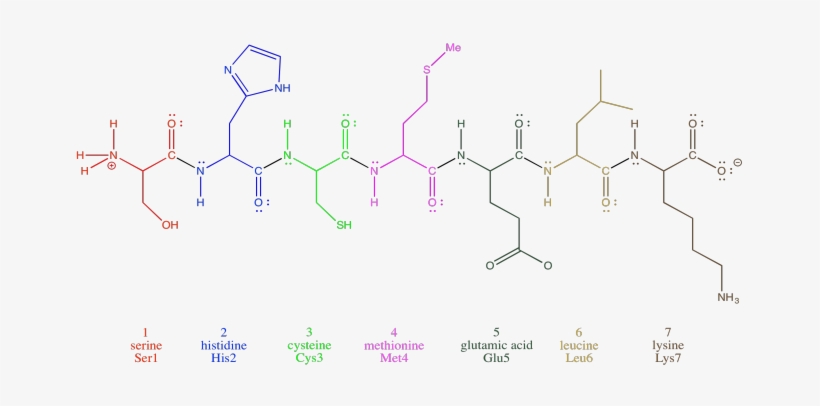 Clipart Freeuse Library Mixtures In Order To - Diagram, transparent png download