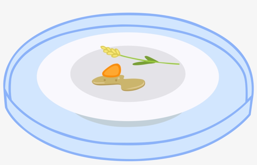 Cloudyglow, Carrot, Food, Hay, No Pony, Plate, Safe, - My Little Pony: Friendship Is Magic, transparent png download