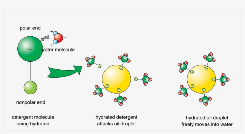 <p><strong>fig 3-21 - </strong>&nbsp - Liquid, transparent png download