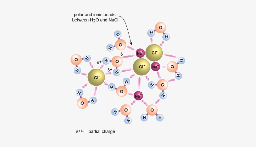 Special Properties Of Water - Circle, transparent png download