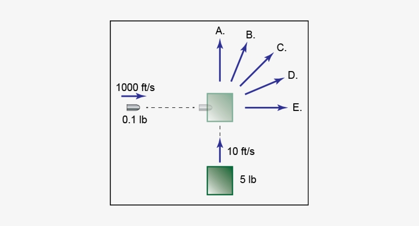 Which Of The Shown Paths Do You Think Most Closely - Diagram, transparent png download