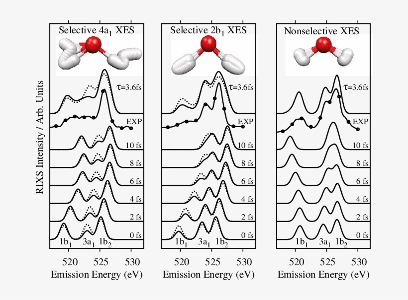 Theoretical X Ray Emission Spectra For An Isolated - Cartoon, transparent png download
