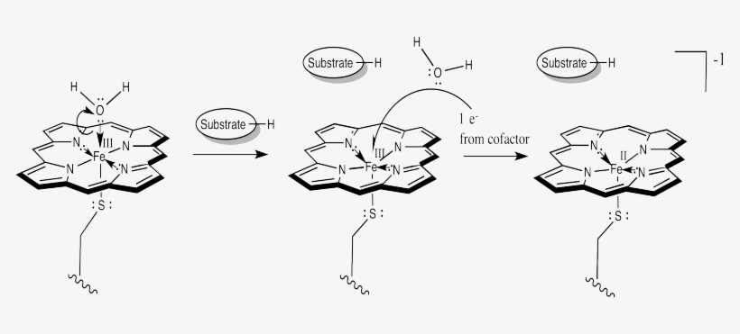 At This Point, Things Are Looking A Little More Like - Diagram, transparent png download