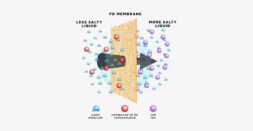 Forward Osmosis Fo Is A “green” Technology That Uses - Semi Permeable Membrane Gas, transparent png download