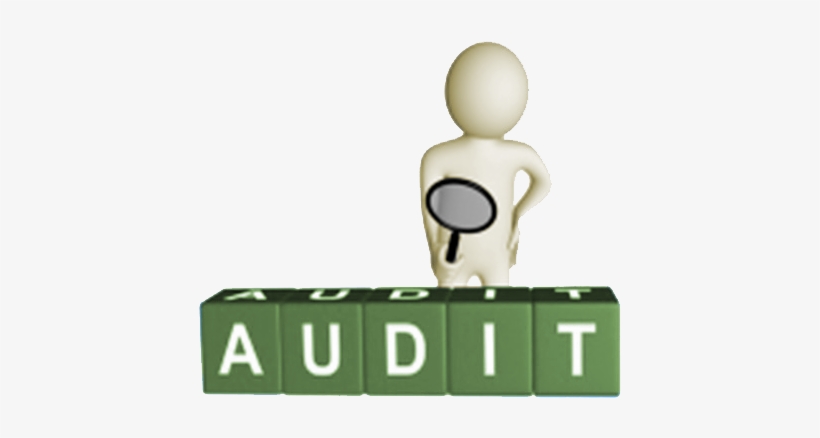 Gmp Audits - Social Audit, transparent png download