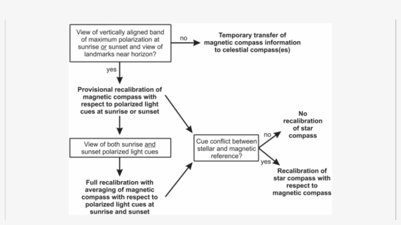 Compass Hierarchy And Calibration Strategy Used By - Information, transparent png download