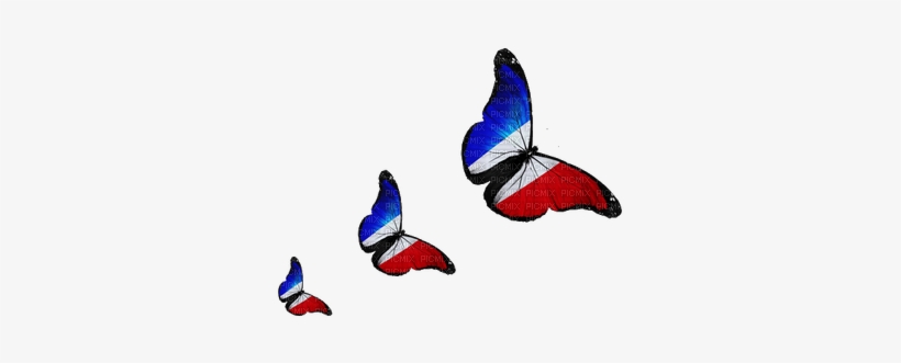 Drapeau De France Papillion - Powerpoint Templates Switzerland, transparent png download