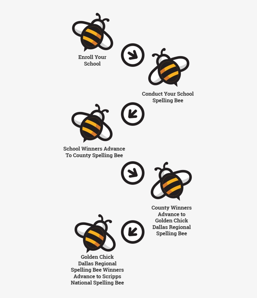 *please Note That Certain Counties Include District-level - Bumblebee, transparent png download