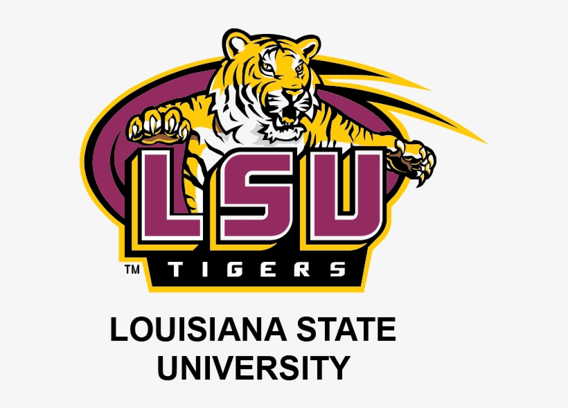 Light Stream - Lsu Tigers, transparent png download