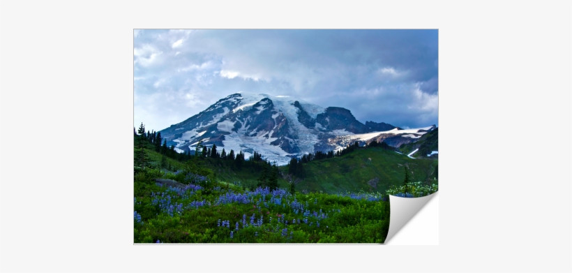 Summer At Mount Rainier - Mount Rainier National Park, Nisqually Glacier, transparent png download
