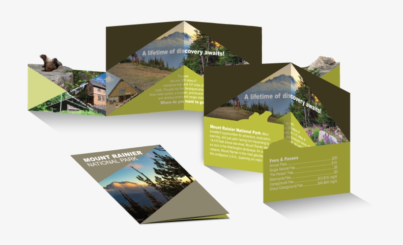 This Park Offers Plenty Of Activities Such As Hiking, - Brochure, transparent png download
