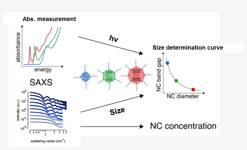 Dots - Diagram, transparent png download