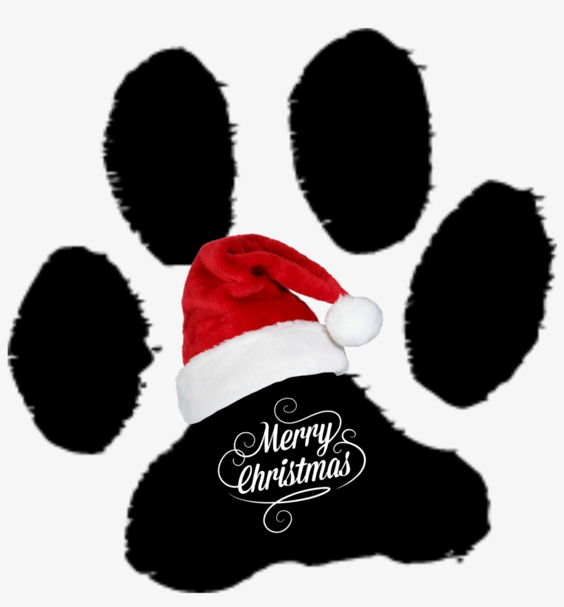 From The Dog's Paw Domestic Cat Cat Paw Print PNG Image Transparent