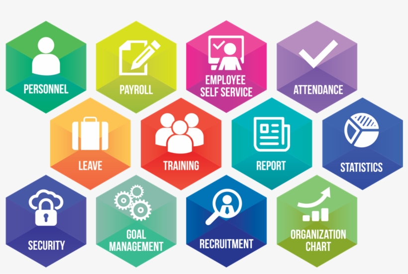 What Is Human Resource Management - Training Institute Management System, transparent png download