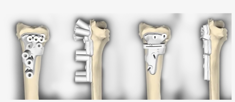 Verstreken Concludes By Listing Three Advantages That - Firearm, transparent png download