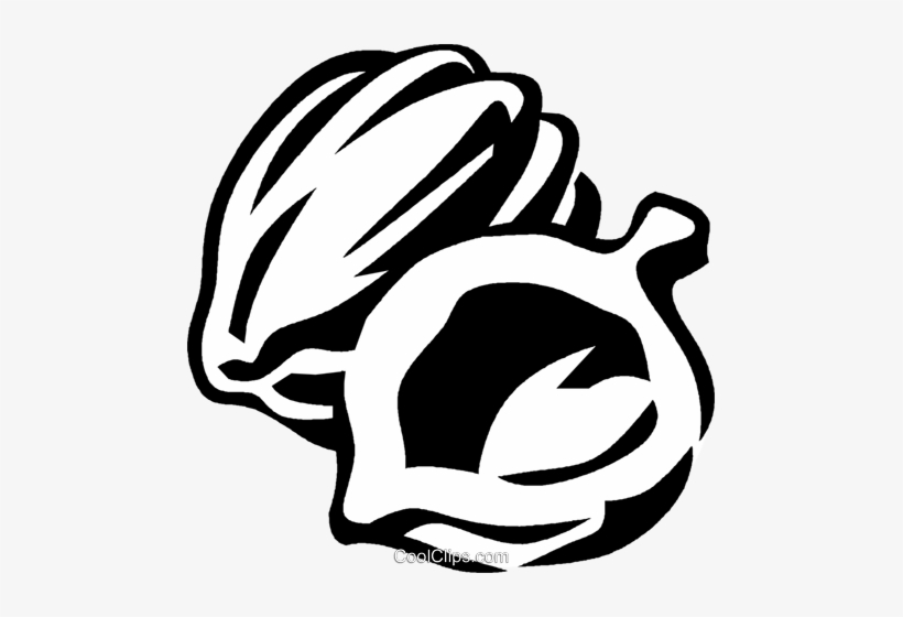 Acorn Squash Royalty Free Vector Clip Art Illustration - Black And White Acorn Squash, transparent png download
