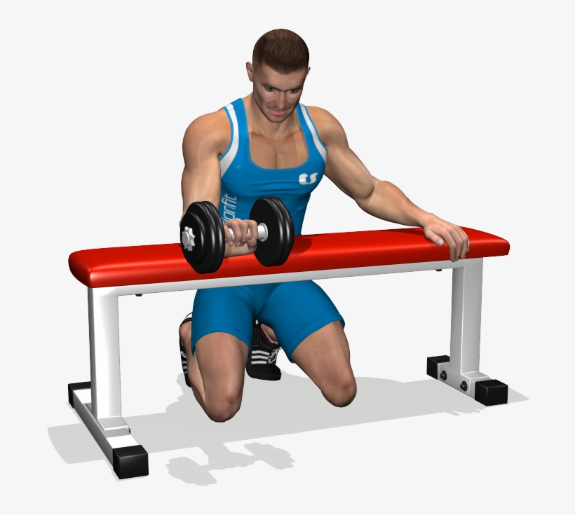 The Palms-down Wrist Curl Is Useful Focuses On The - Dumbbell, transparent png download